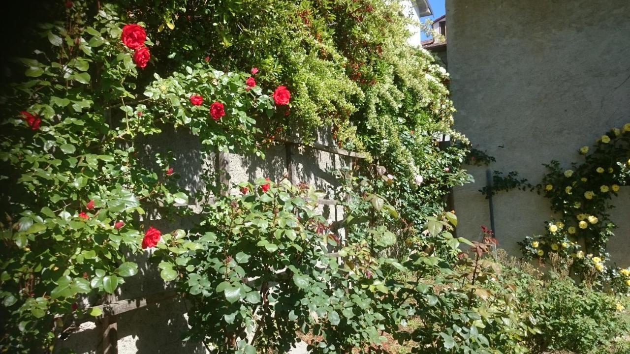 B&B Barbaia Levice 外观 照片